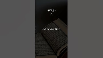 سورة الطلاق للقارئ فارس عباد🖤🥀#قرآن #قران_كريم #فارس_عباد #fyp #foryou #funny #explore #video 🖤🥀