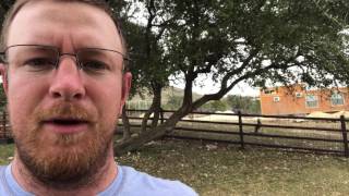 Bennett's Wallaby Introduced at Stewards of Wildlife