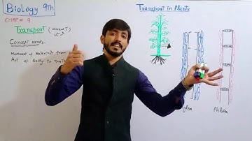 Transport in living organisms Need and introduction | Biology 9th | Chapter 9 Lecture 1