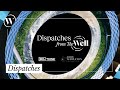 Exploring our biggest questions | Dispatches from The Well (Trailer)