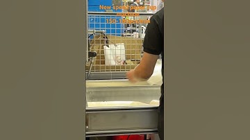 New speed paper cup machine 150-180pcs/min