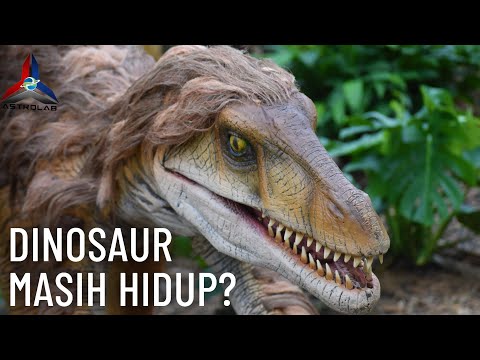 Video: Bilakah dinosaur pupus?