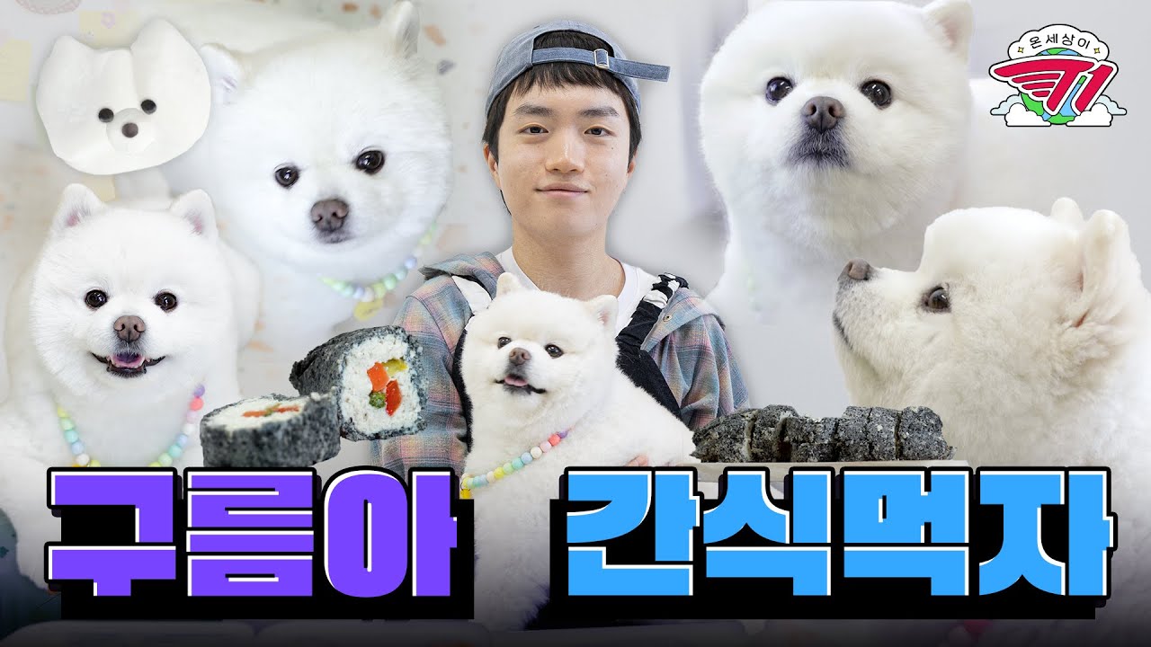 역천개, 구름이 유튜브 데뷔☁ | 온 세상이 T1 : 케리아 반려동물 수제간식 편