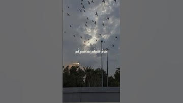 ﴿سلام عليكم بما صبرتم فنعم عقبى الدار﴾ | سورة الرعد | الشيخ ماهر المعيقلي