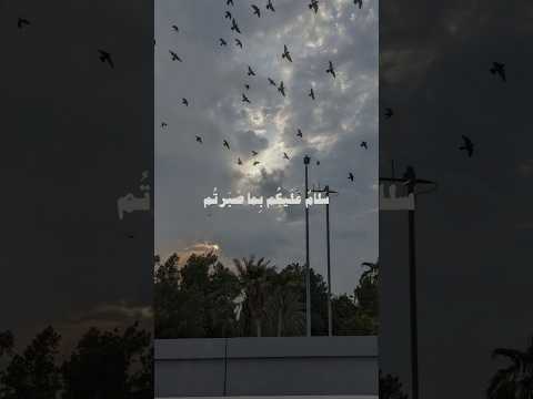 سلام عليكم بما صبرتم فنعم عقبى الدار سورة الرعد الشيخ ماهر المعيقلي