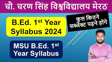 B.Ed. 1st year syllabus 2024 in hindi total subjects files practical marks ccsu meerut msu