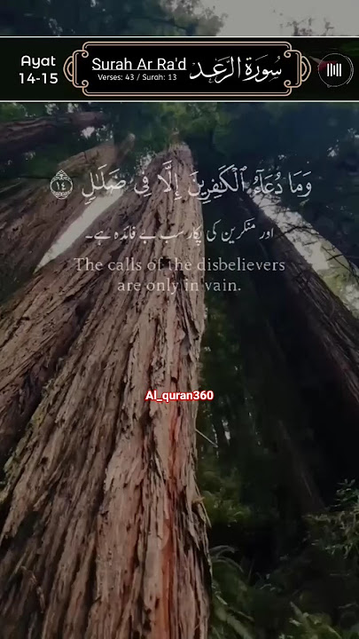 Surah Ar-ra'd Ayat 15 best Quranic reaction beautiful voice with Arabic text HD❤️#viral #trending