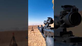 Celebrity Beeman M16 Military Look Air Rifle #airguns #airrifleshooting Wealth