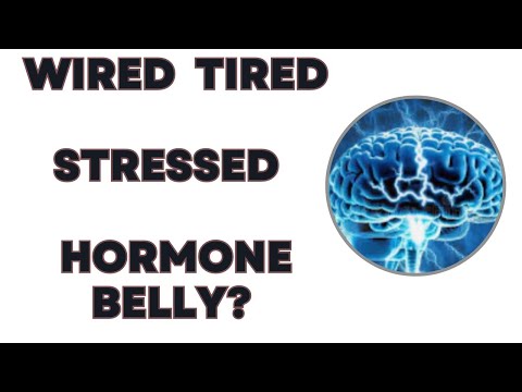 Sympathetic Nervous System 101
