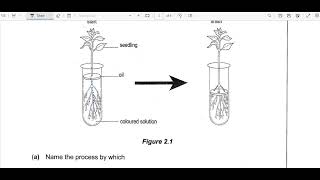 BIOLOGY PAPER 2 2011 ECZ