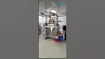 Wighing heads filling system VFFS bag pouch filling sealing packing machine