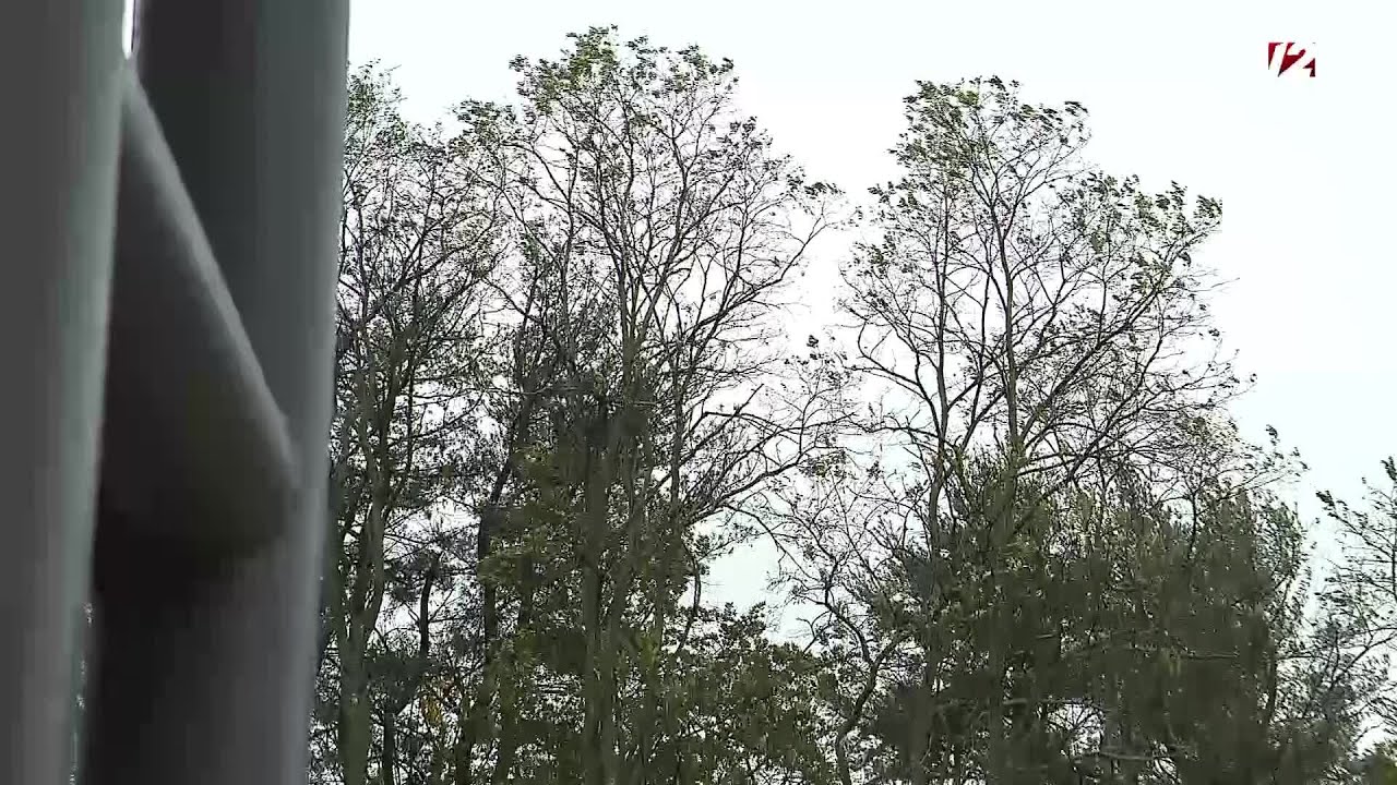 VIDEO NOW: Rain and wind in East Providence