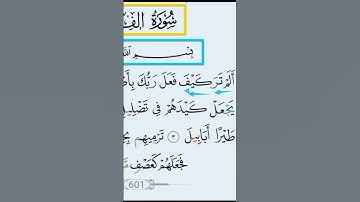 سورة الفيل#surah #محمودخليل #عبدالباسط #daaralecoran #lecoranalkarim #القارئ #daaraalguran #guran