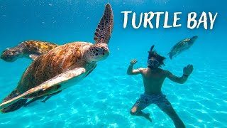 Swimming with turtles in the Perhentian Islands, Malaysia