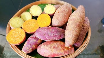 KHOAI LANG LUỘC /Cách luộc khoai lang không cần nước ngọt ngon thơm phức mùi lá dứa cực dễ#727