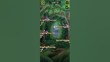 Bird Sorting Part 11