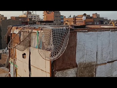 تعالوا نشوف المفاجأة مع مين مع اوطة إمبابة