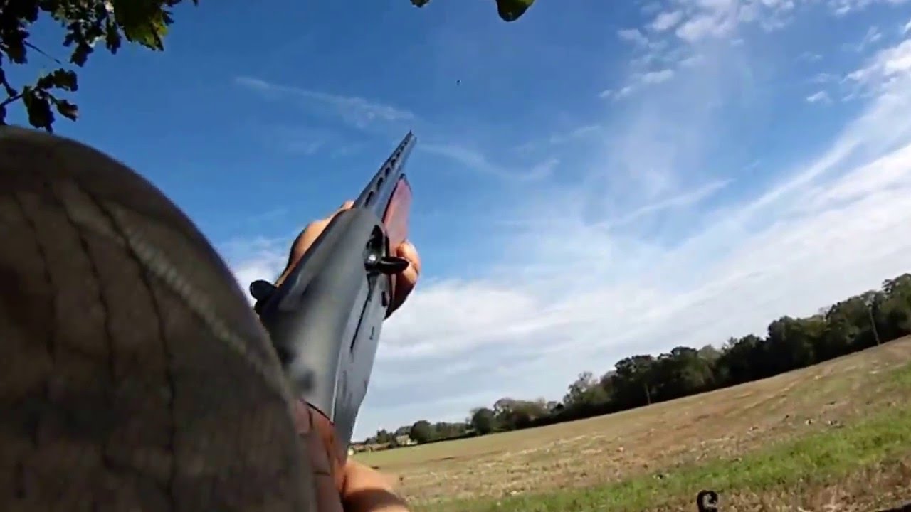 Pigeon Shooting 2016 YouTube