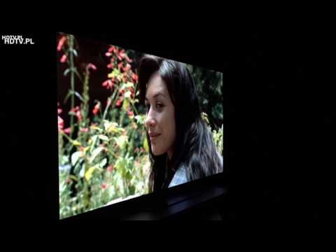 LG OLED B7 (OLED55B7V) test kąty widzenia / viewing angle