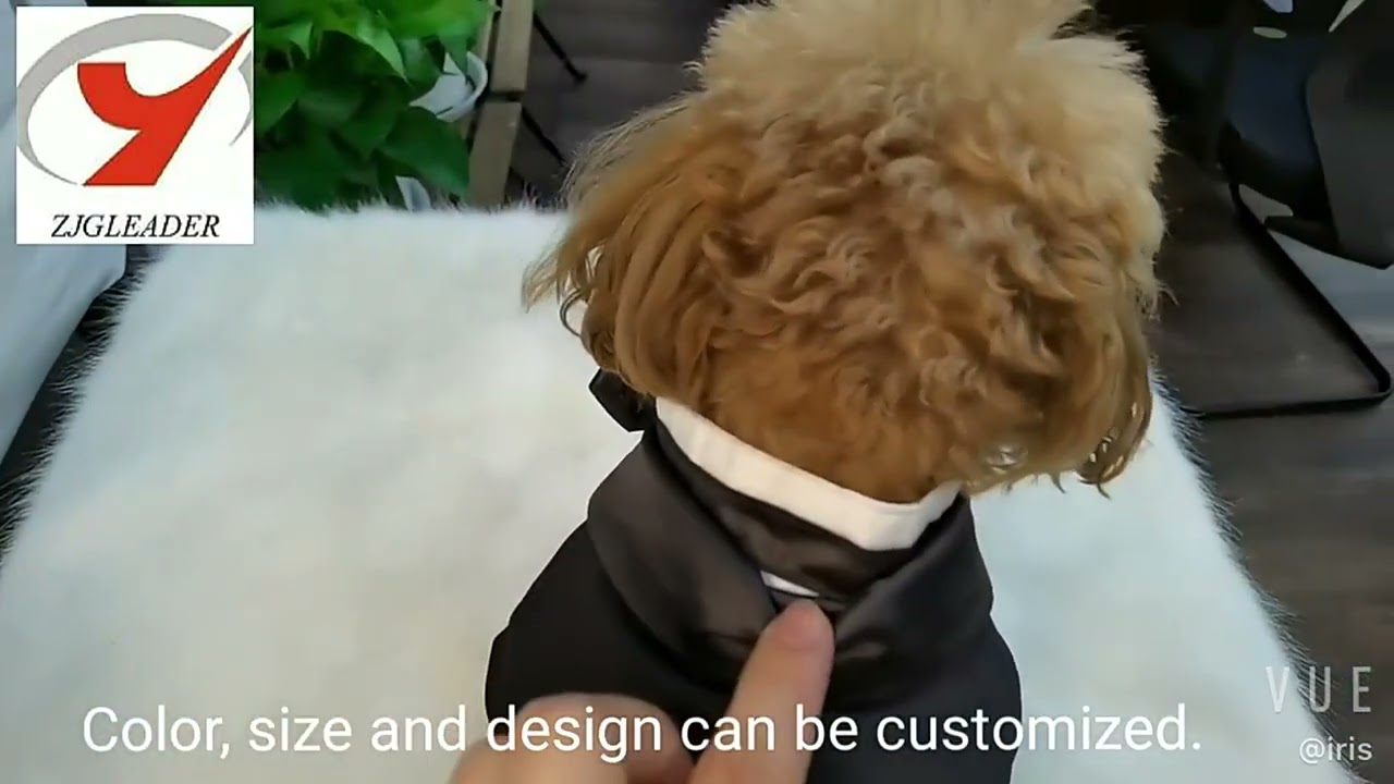 pet wedding clothes
