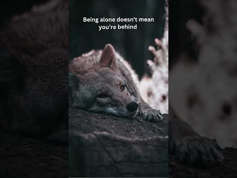 The wolf walks alone #relax #wolf #calmshorts #nature
