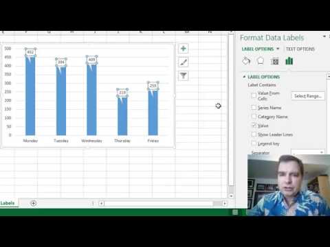 Display The Chart Data Labels Using The Data Callout Option