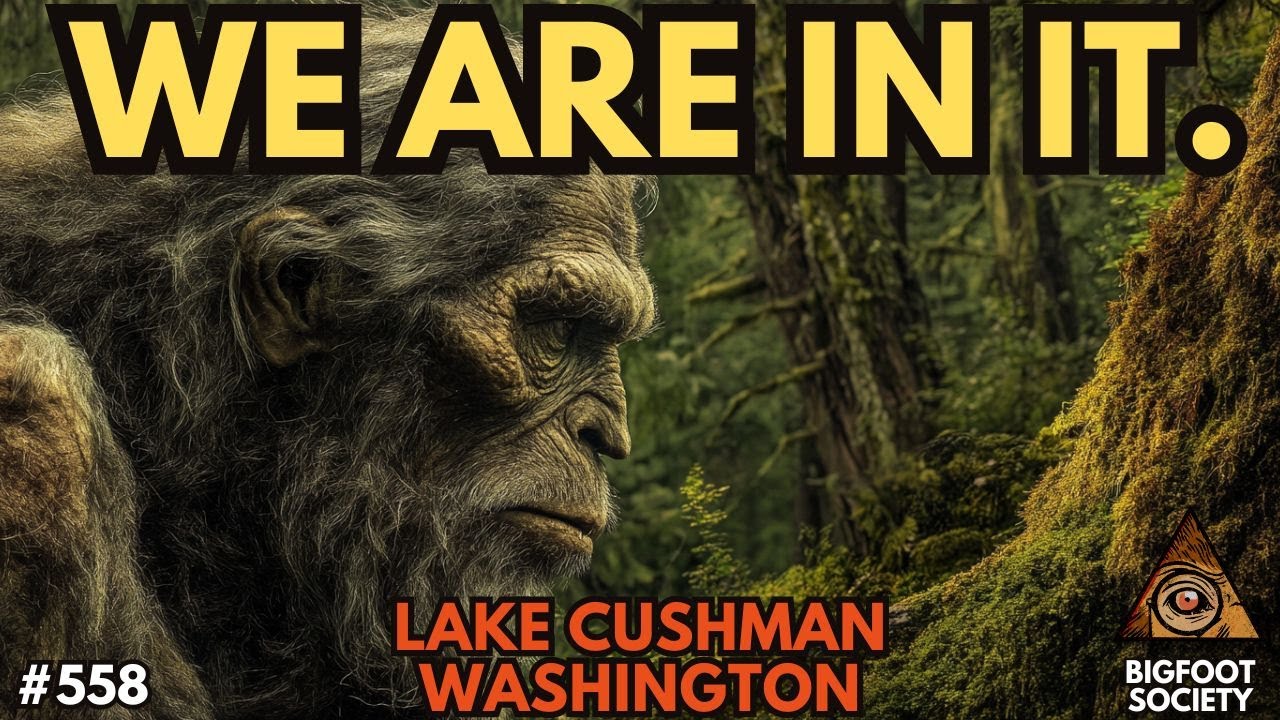 The Sasquatch of Lake Cushman, Washington | Bigfoot Society 558