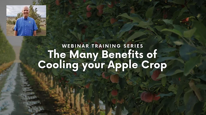 The Many Benefits of Cooling your Apple Crop By Br...