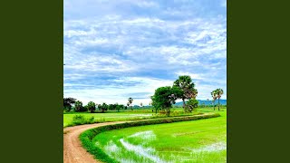Download Lagu Sunny Mornings Download Lagu Sunny Mornings