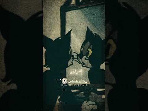 كشوق الليالي لضوء القمر 