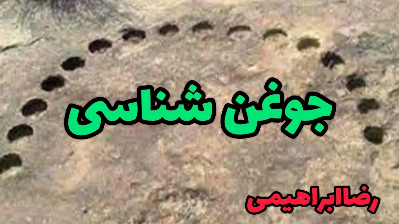 کلاس تخصصی!!!!کلاس جوغن شناسی۲جوغنهای مهم دیواره را بشناسیم،اهمیت جوغن ...