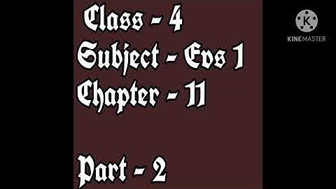 Std: 4: EVS-1: A look inside the body: Part 2.