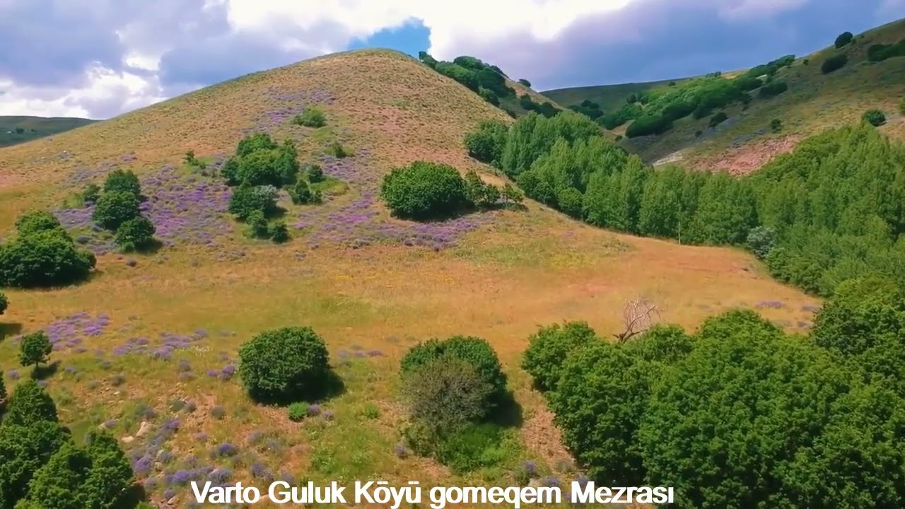 Varto Guluk Köyü Gomeqem Mezrası