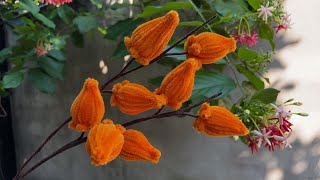 ABC TV | How To Make Nipplefrui With Pipe Cleaner - Craft Tutorial