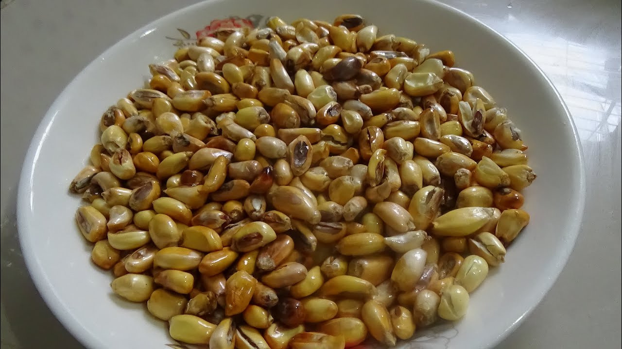 Cancha Serrana Frita secretito para que salgue suavecito//Cocina Perú