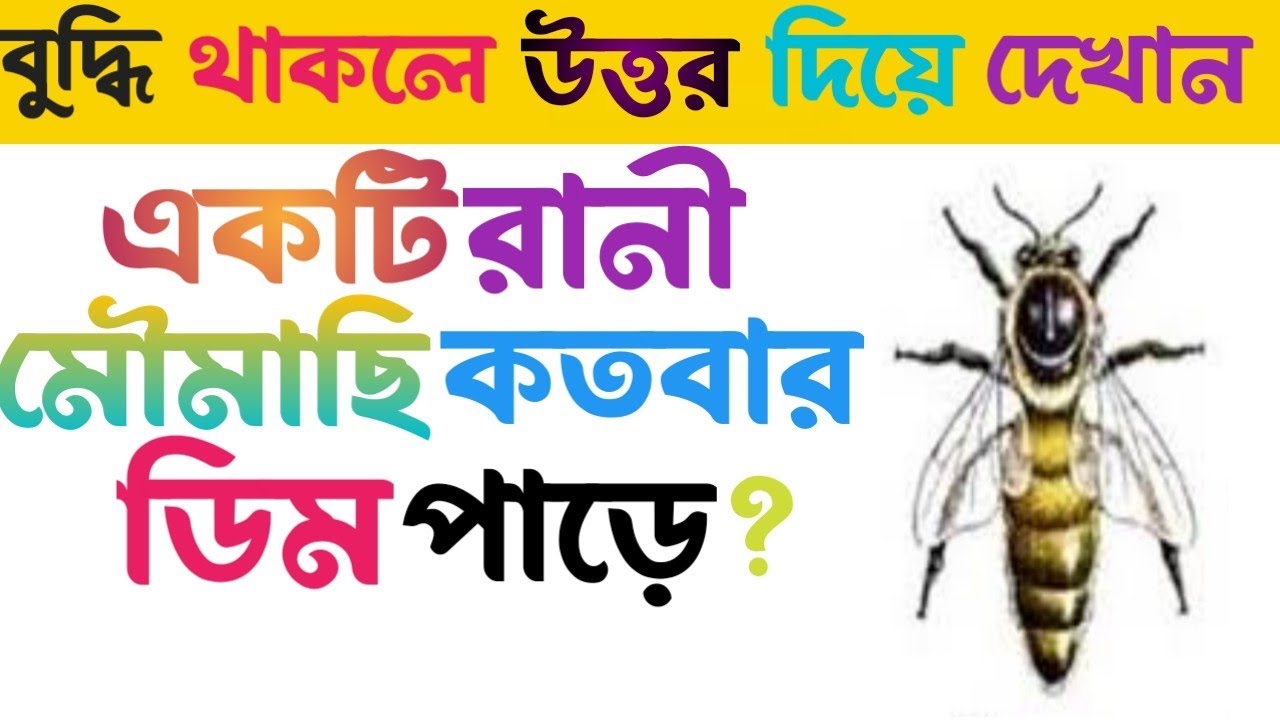 ধাঁধা প্রশ্ন ও উত্তর বাংলা/bangla dhadha/ধাঁধা প্রশ্ন/dha dha bengali/dadagiri googly YouTube