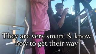 J.O.R.G.I.A. With autism. The bus arrived &amp; The Princess👑wasn’t feeling it, but Mom didn’t give up🧩😞