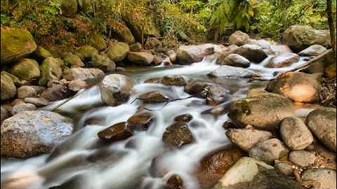 سورة الأنبياء بصوت الشيخ محمد الغرباني