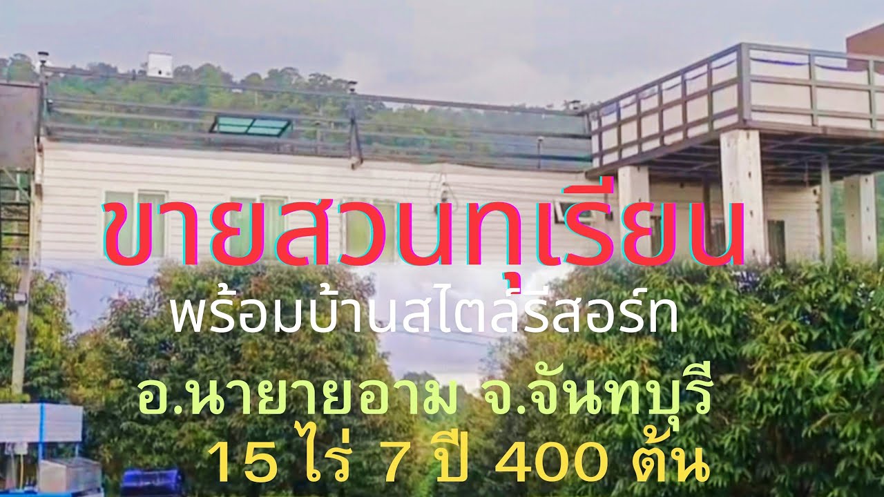 EP590.ขายสวนทุเรียนจันทบุรี พร้อมบ้านสไตล์รีสอร์ท วิวเขา ติดถนนลาดยาง สนใจติดต่อ0981473498,087902134