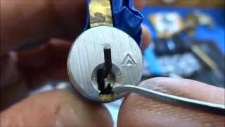 (560) Schlage Everest (Normal) Picked (w/Opening Tips)
