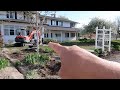 Update on Front Yard Destruction, Transplanting a Few Things & Driveway Weed Control! ⚒🌿