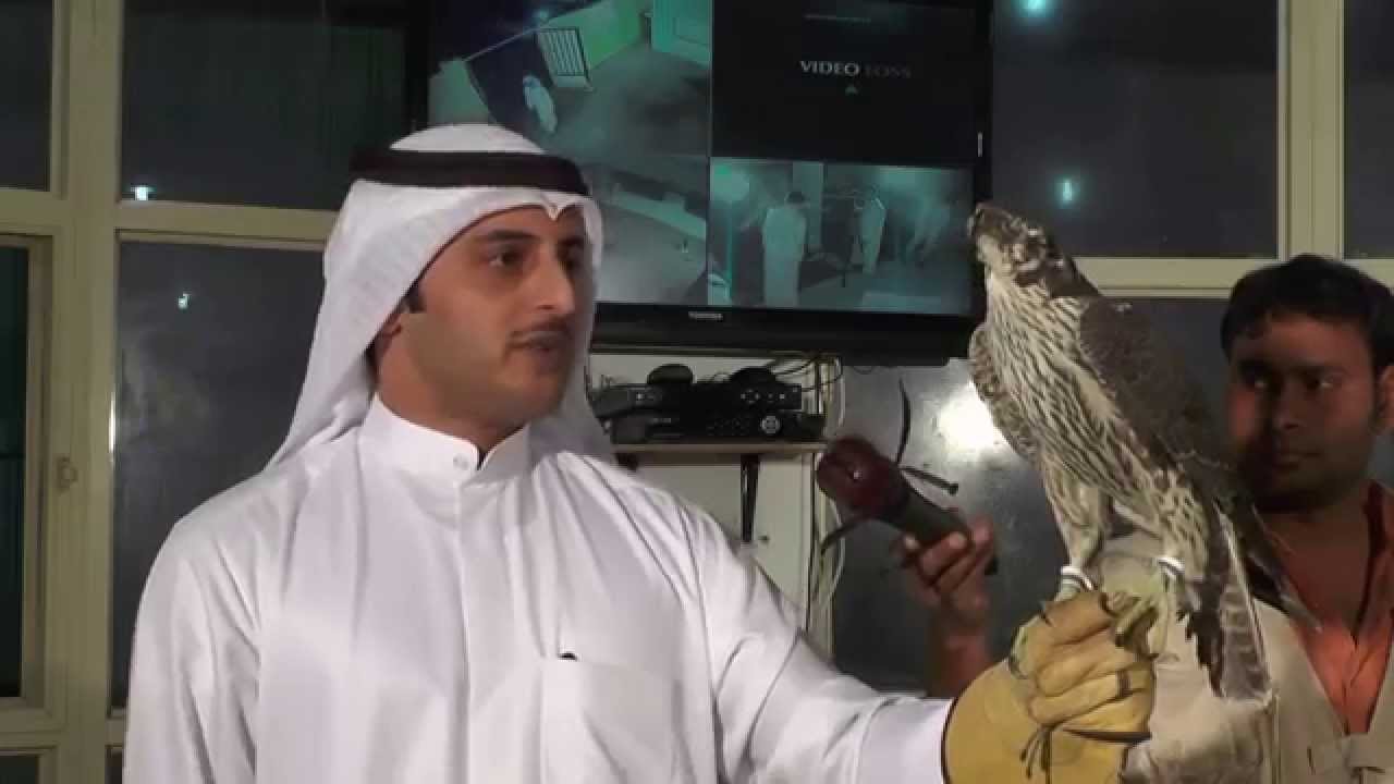 مزاد الوافي شاهين طرح الشويب 2 / 4 / 2015