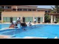 МЕКСИКА 2013 Gran Bahia Principe Дельфинарий