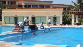 МЕКСИКА 2013 Gran Bahia Principe Дельфинарий