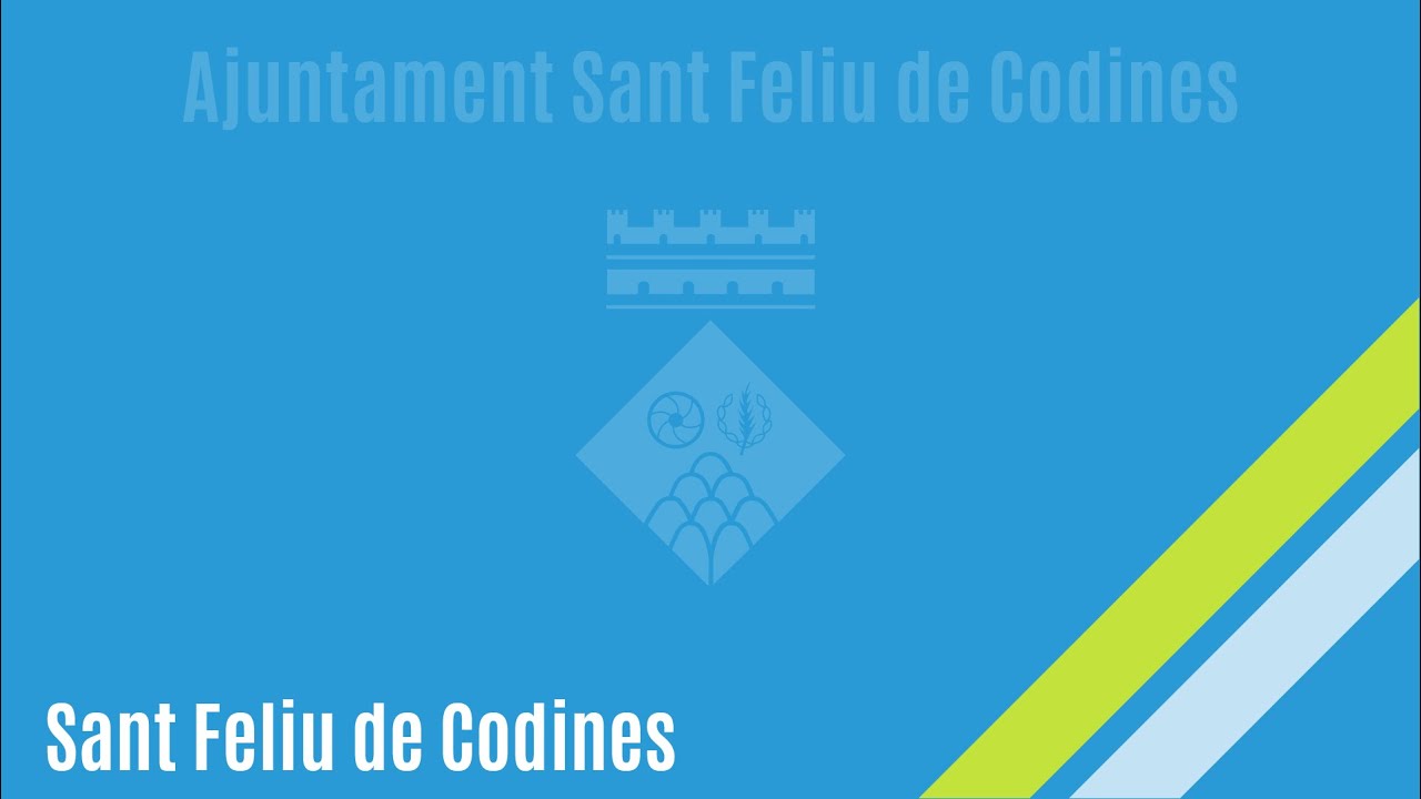 Sessió plenària ordinària dijous 24 de juliol de 2025