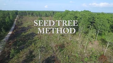 Overview of Silviculture