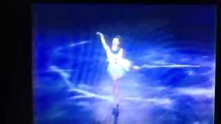 Patricia Dodd Information