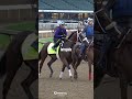 Kentucky Derby Contender Profile: INTREPIDO