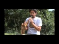 Aula de Bambusax / Bamboosax - Saxofone de Bambu de Daniel Tibhau (Sax de Bambu)