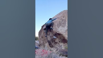 Doin’ The Cockroach V4 - Joshua Tree
